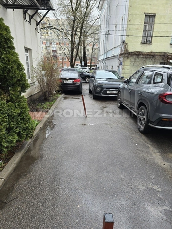 Источник: Читатель Voronezh1.ru