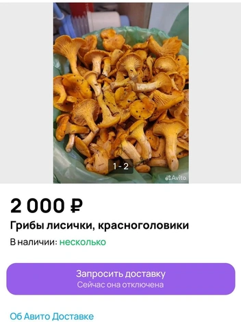 Некоторые продавцы готовы взять заказы на сбор грибов | Источник: Avito.ru