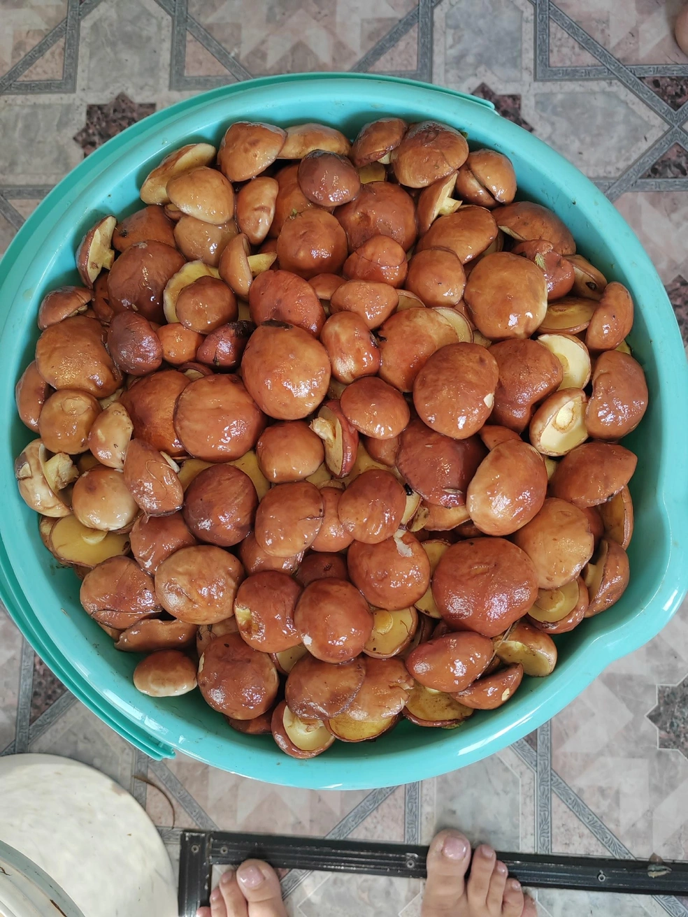 Источник: Йоргина Бобыкина