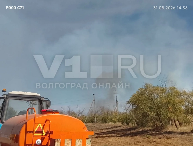 Источник: Читатели V1.RU