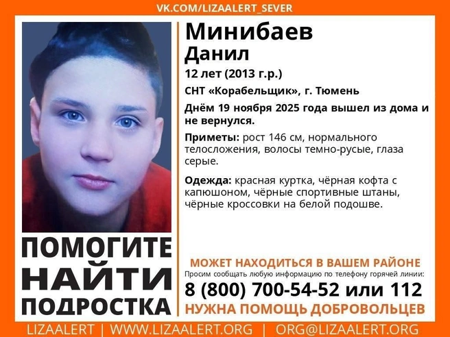 Источник: ЛизаАлерт