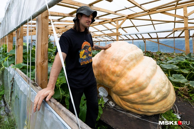 Источник: Артем Устюжанин / MSK1.RU