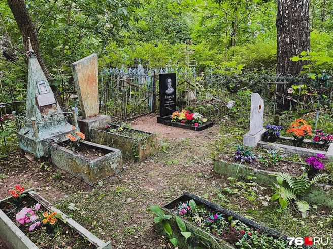 В Ярославле оцифруют Тверицкое кладбище | Источник: Алёна Косточкина / 76.RU
