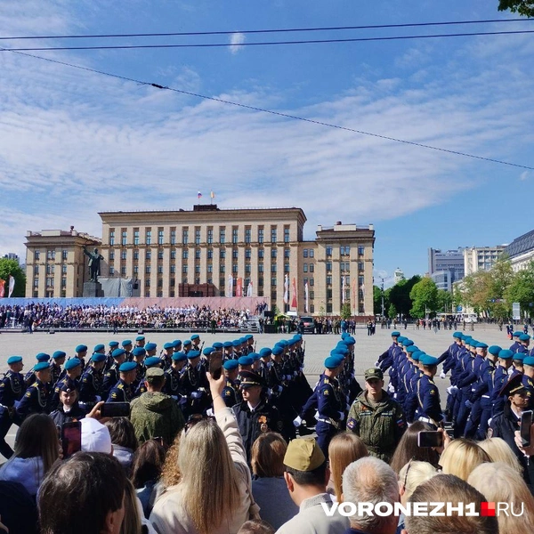 Источник: Дмитрий Волгин / Voronezh1.ru