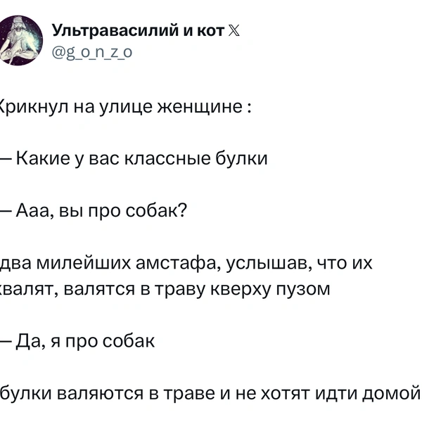 Источник:  X (Twitter)