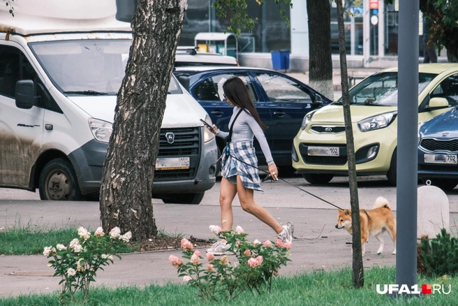 Собачка дополняет любой образ | Источник: Булат Салихов / UFA1.RU