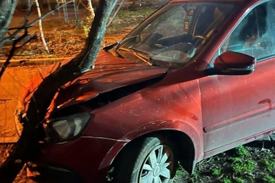 В Воронеже водитель «Гранты» пострадал в ДТП с деревом