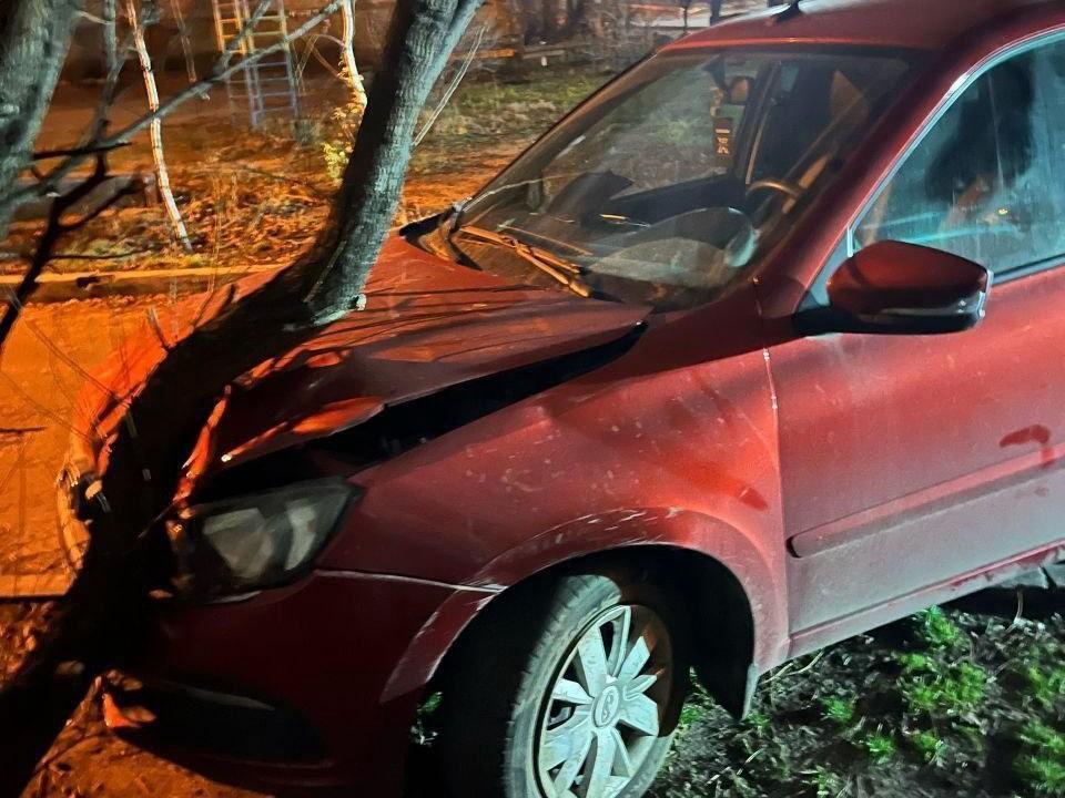 В Воронеже водитель «Гранты» пострадал в ДТП с деревом