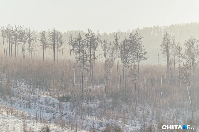Возможны осадки | Источник: Олег Федоров / CHITA.RU