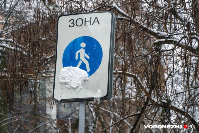 Источник: Дмитрий Волгин / Voronezh1.ru