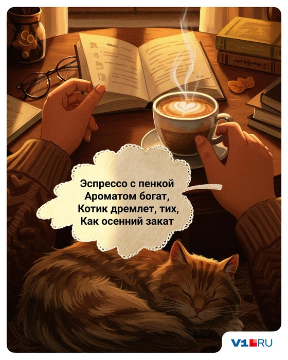 Хорошо, когда всё и всем хорошо. Даже котику | Источник: Полина Авдошина / V1.RU