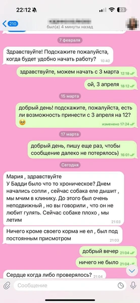 Эти переписки кинолог вела с женой Родиона, Марией | Источник: Родион Проводин