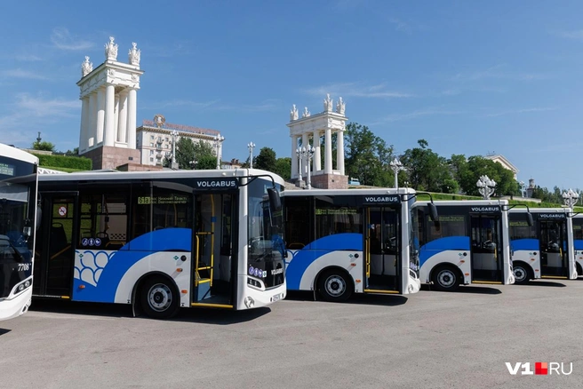 Автобус рассчитан на 49 пассажиров, 22 из которых будут ехать сидя | Источник: Алексей Волхонский / V1.RU