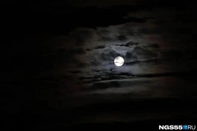 В Саратовской области объявили угрозу атаки БПЛА