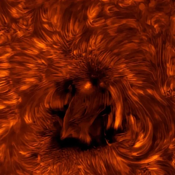 Победитель в номинации «Солнце» | Источник: James Sinclair / ZWO Astronomy Photographer of the Year 2025