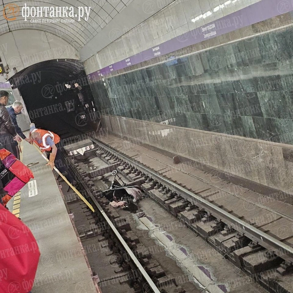 В метро Петербурга останавливали движение из-за падения детской коляски на путь | Источник: читатель «Фонтанки»