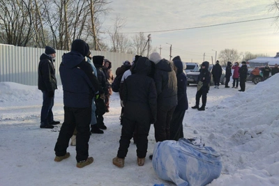 Больных собак из «Антидогхантера» отправят в муниципальный приют