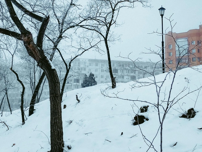 Источник: Юлия Воропаева
