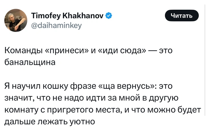 Источник: X (Twitter)