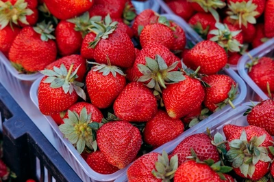 Ярмарка выходного дня в Песчанке 4 апреля