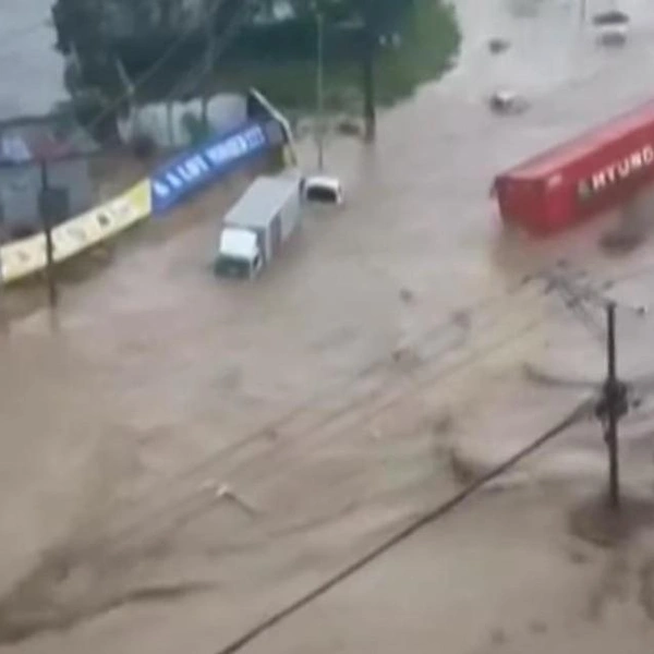 Источник: WION / YouTube