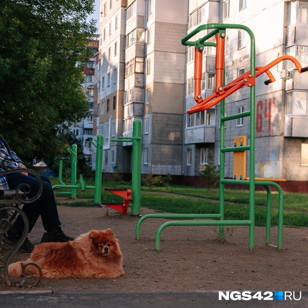 Источник: Максим Серков / NGS42.RU