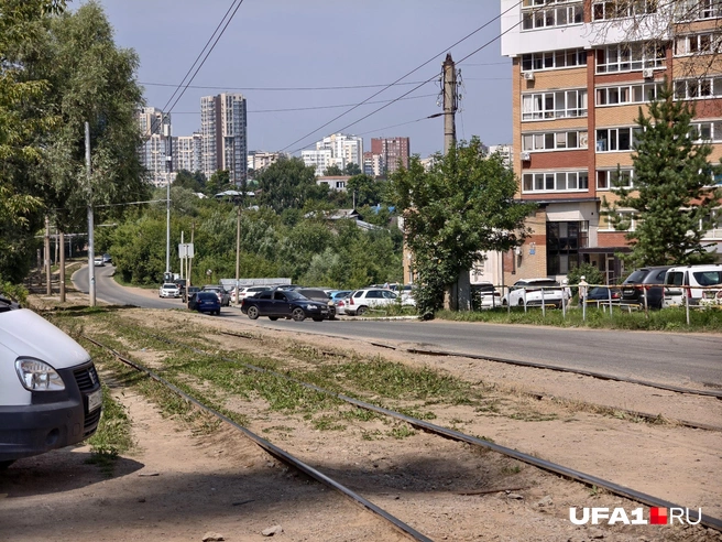 Пути зарастают травой&nbsp;— природа берёт своё наконец-то | Источник: Булат Салихов / UFA1.RU