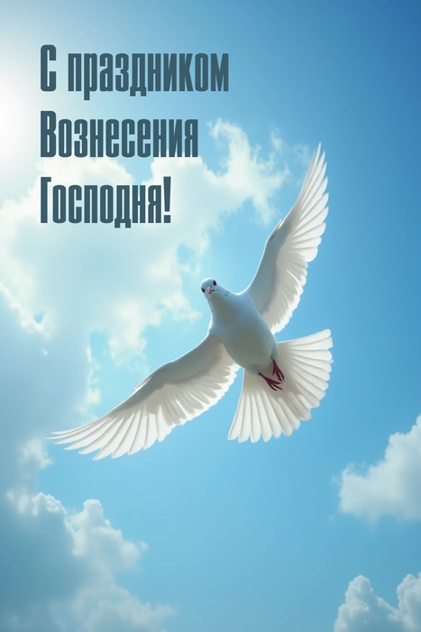 Источник: Городские медиа
