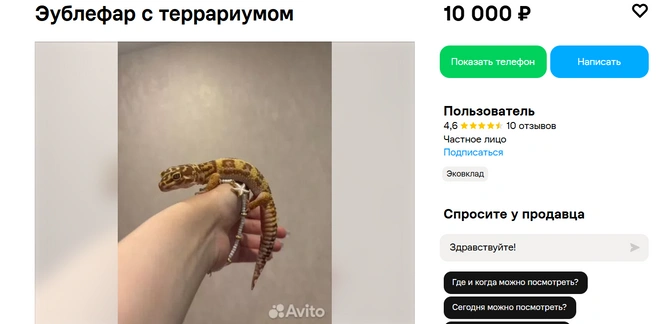 Источник: Авито