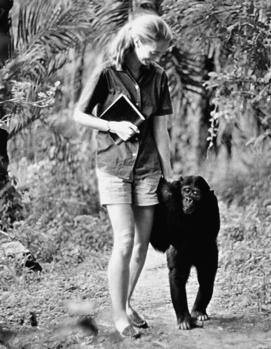 Порно анальды вагинальды ауызша