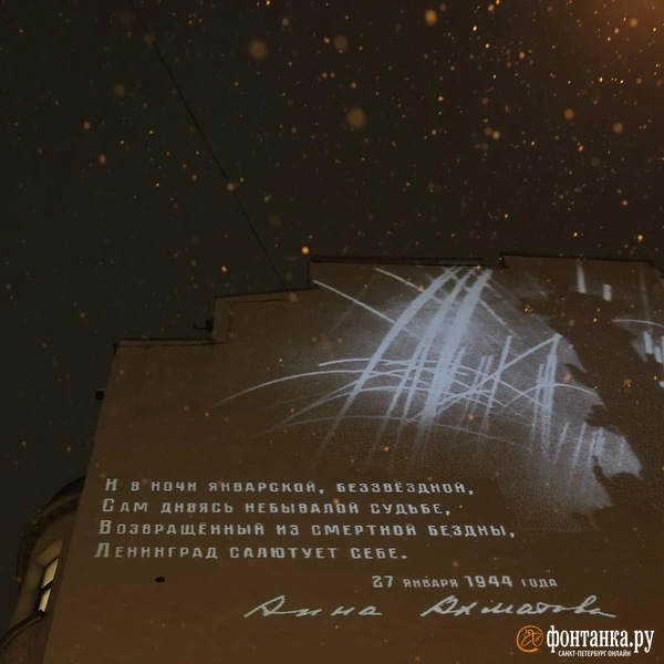 Источник: Дарья Драй / FONTANKA.RU