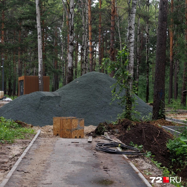 Источник: Ирина Шарова / 72.RU 
