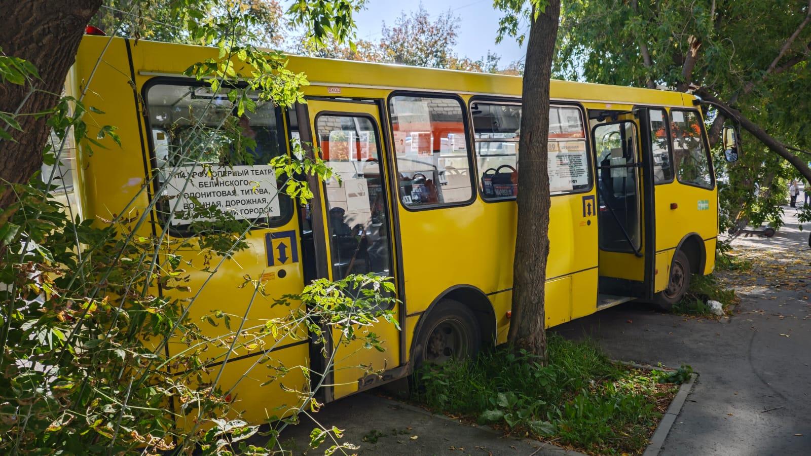 «В салон затянуло едкий дым». Пассажир автобуса, который врезался в дерево, рассказал, как произошла авария