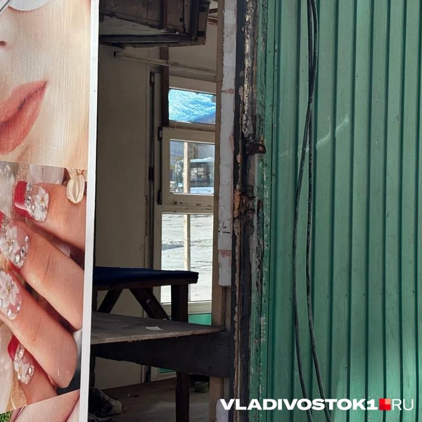 Источник: Елена Буйвол / VLADIVOSTOK1.RU