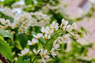 Конец апреля в Башкирии: дожди и ветер, но без снега
