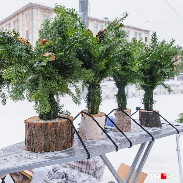 Композиции стоят от 200 до 600 рублей | Источник: Тимофей Калмаков / 59.RU