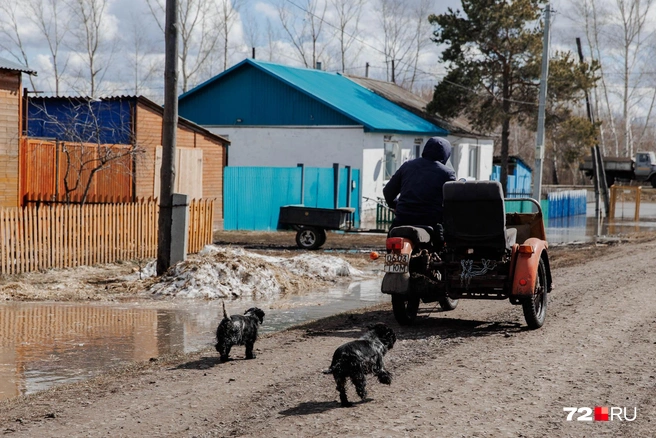 Улица за несколько часов до того, как скрылась в воде. Мужчина ездит по селу и спасает животных | Источник: Ирина Шарова