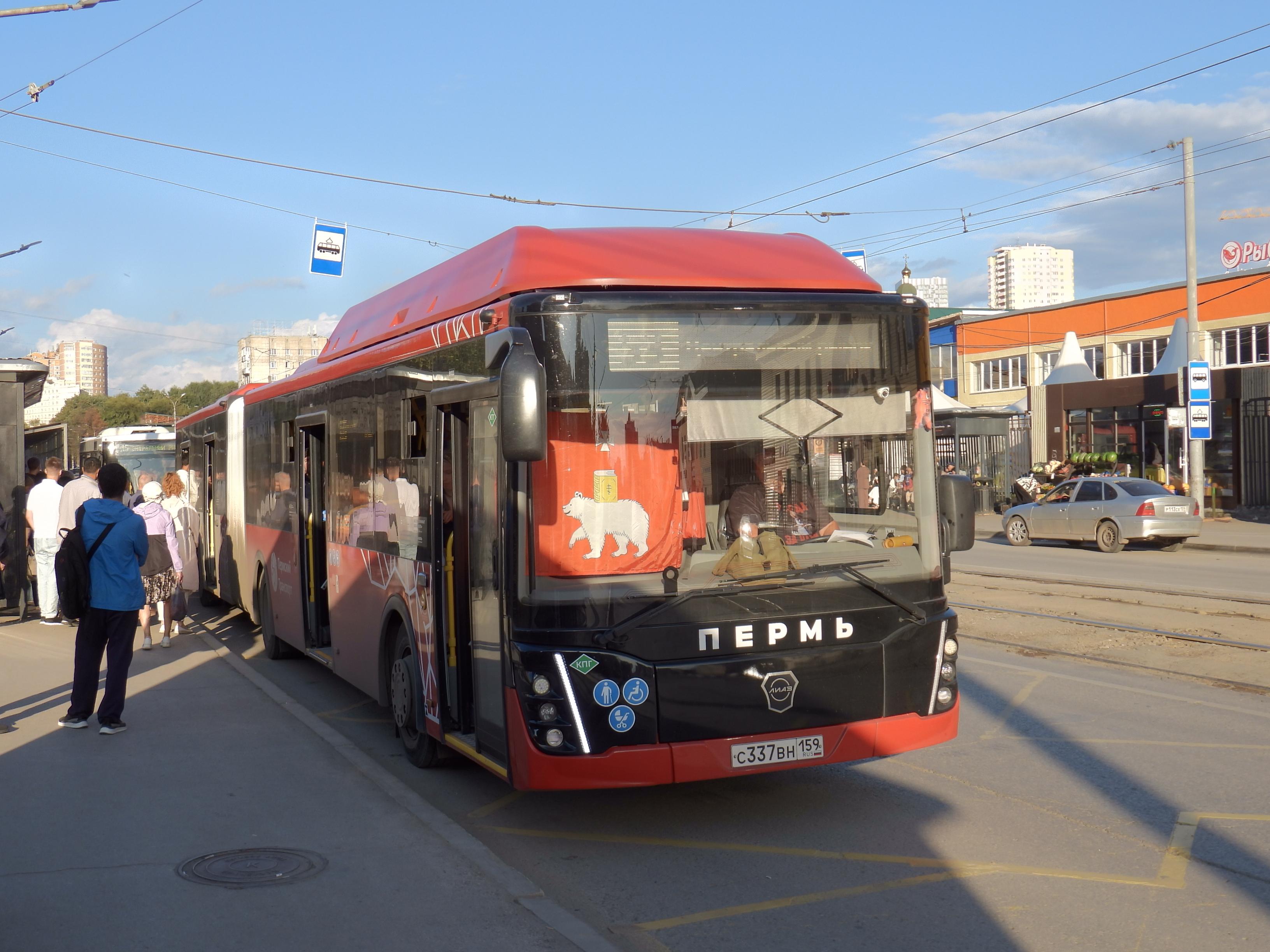 Автобусные шторки в Перми: зачем водители закрывают свои кабины?