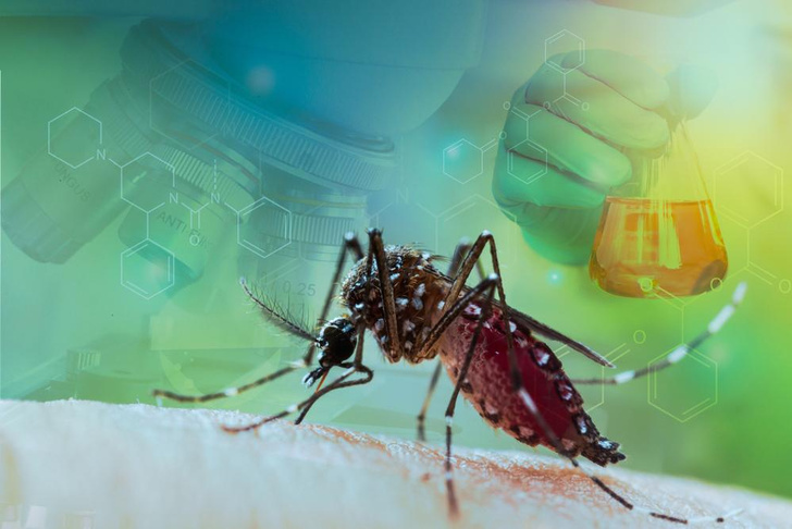 Чипирование и генно-модифицированные комары: 5 теорий заговора про Билла Гейтса