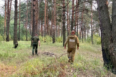Костромскую область оценили за готовность к лесным пожарам