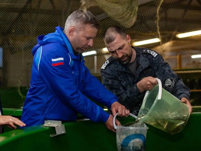 В Неву выпустили тысячу молодых лососей | Источник: Официальный канал ГУП «Водоканал Санкт-Петербурга»