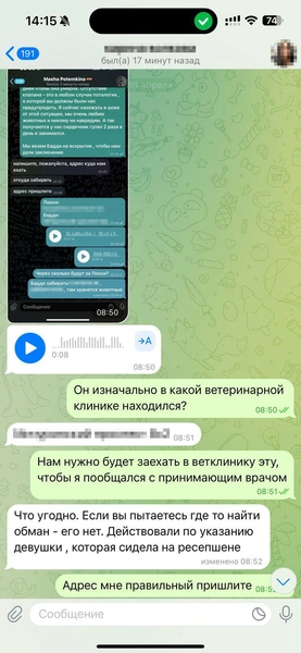 В день, когда все случилось, Родион был на нервах. Это видно по переписке | Источник: Родион Проводин