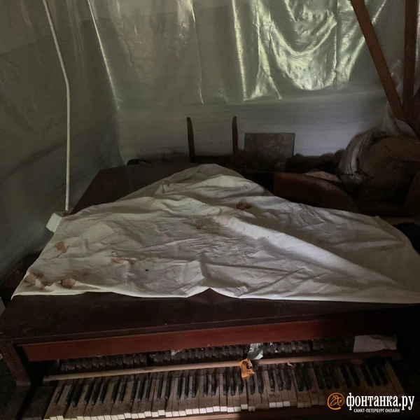 Источник: читатель «Фонтанки»