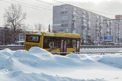 Ярославцам предупредили о сбоях в работе транспорта