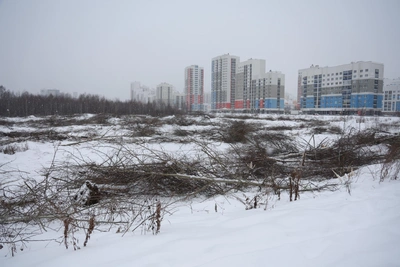 В Академическом на месте леса началась масштабная стройка