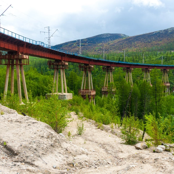 Источник: Konstantin Shishkin/Shutterstock/Fotodom.ru