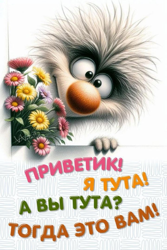 Изображение пользователя
