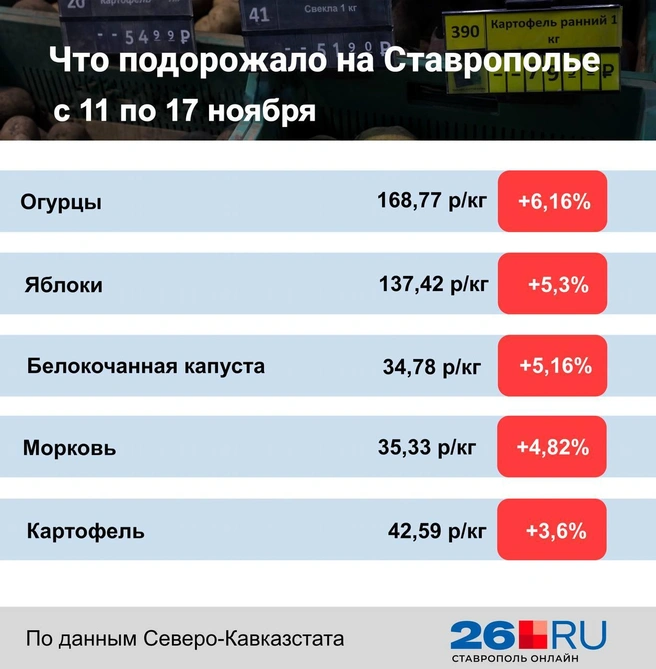 Статистика цен на продукты | Источник: Дарья Гранкина / 26.RU