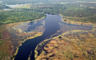 Найдена самая темная река в мире. Гидрологи сравнили ее воду с чаем