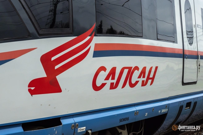Утренний «Сапсан» из Петербурга остановился вскоре после отправления. Пассажиры говорят о зацепере | Источник: Михаил Огнев / FONTANKA.RU